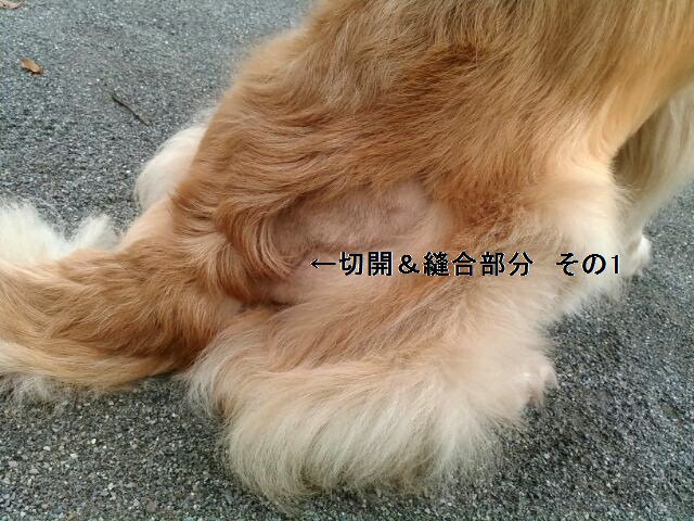 e0204314_08260735.jpg