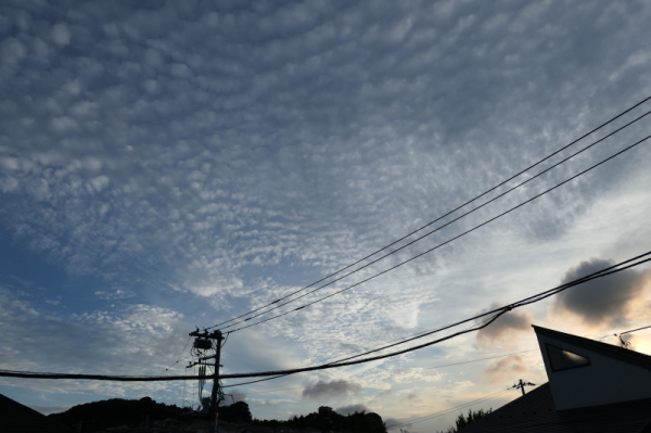 f0369014_09455514.jpg