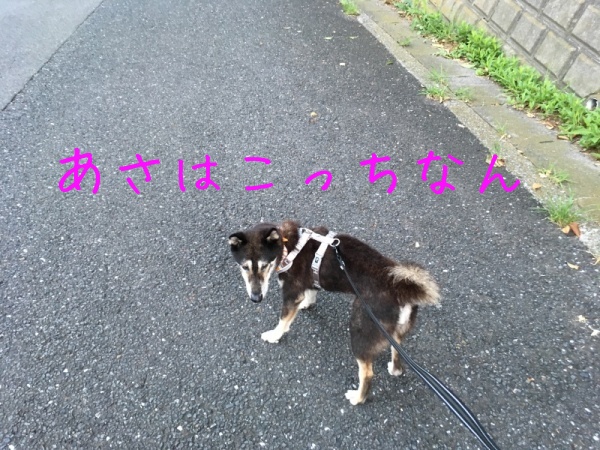 f0369014_09480564.jpg