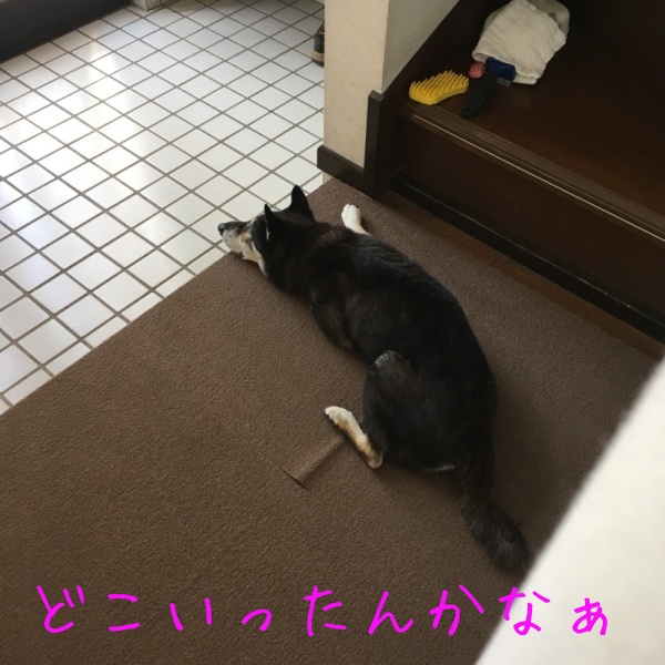 f0369014_10112348.jpg