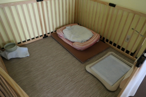 f0369014_10261245.jpg