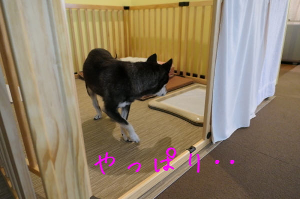 f0369014_10553338.jpg
