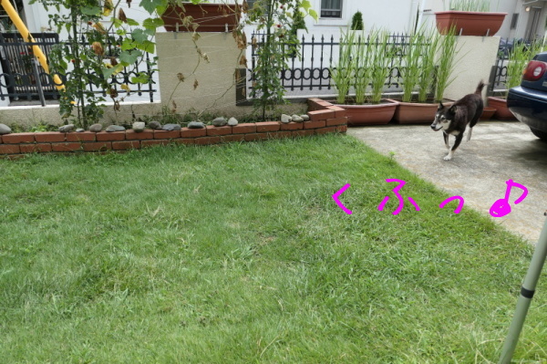 f0369014_11202301.jpg