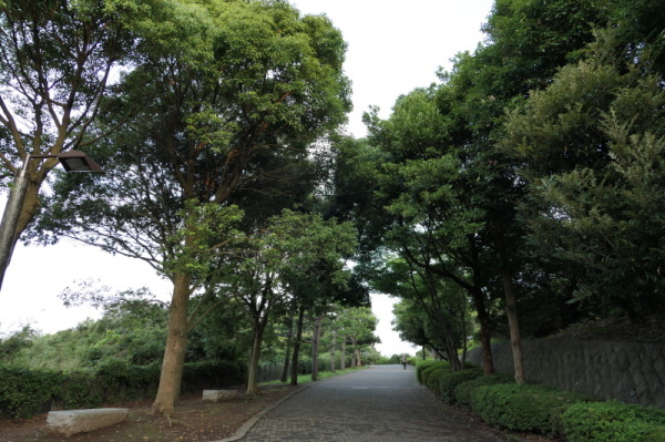 f0369014_15020350.jpg