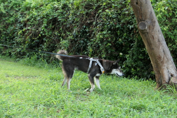 f0369014_15084086.jpg