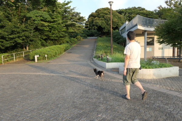 f0369014_15102628.jpg