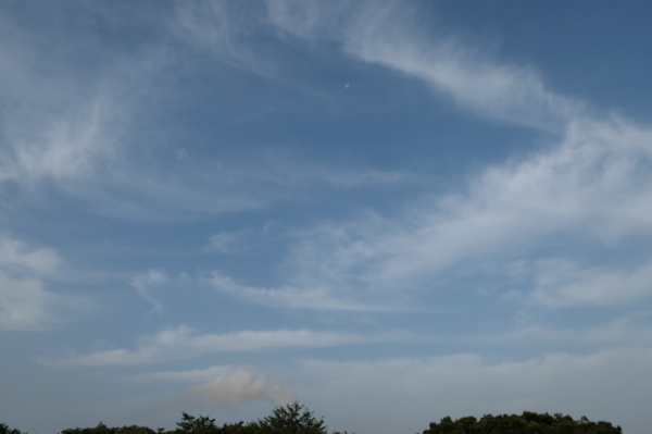 f0369014_15130469.jpg