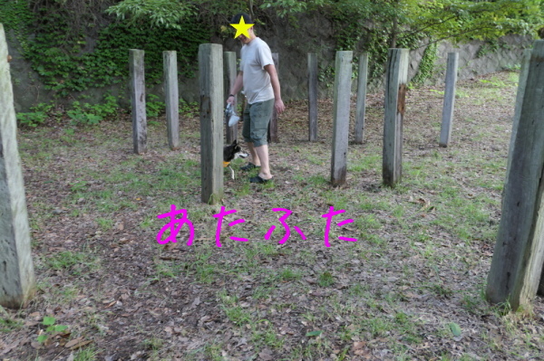 f0369014_22292896.jpg