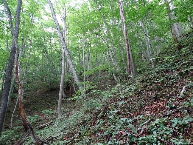 f0360815_16273909.jpg