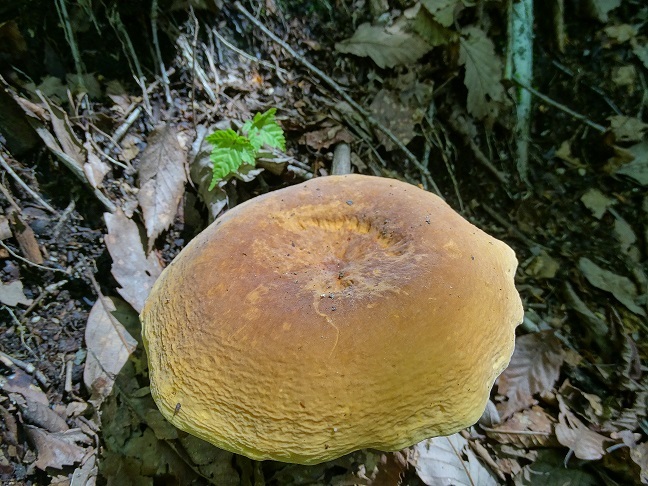 f0360815_16273971.jpg