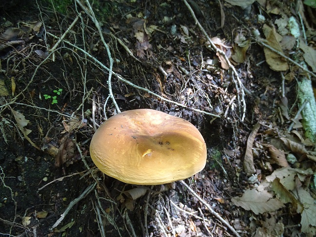 f0360815_16274020.jpg