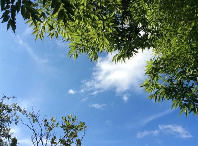 b0344816_09380406.jpg