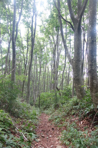 c0223019_22343381.jpg