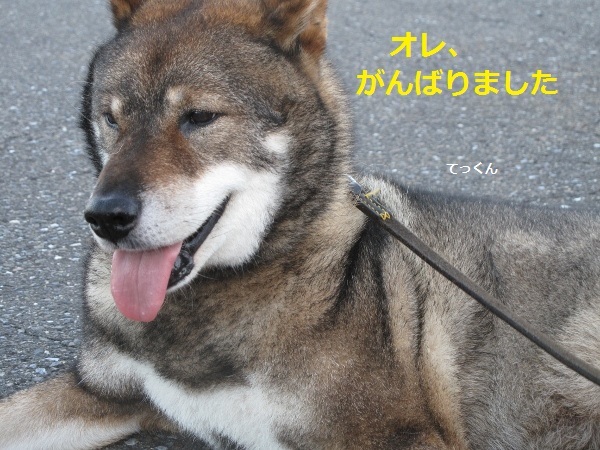 f0143123_09090512.jpg