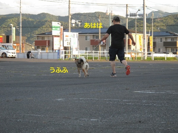 f0143123_09101289.jpg