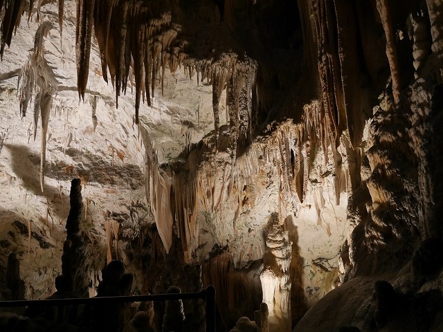 c0039428_22105066.jpg
