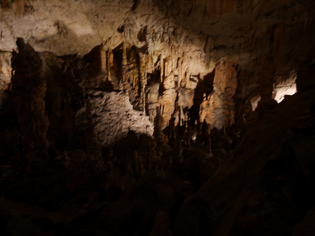 c0039428_22110803.jpg