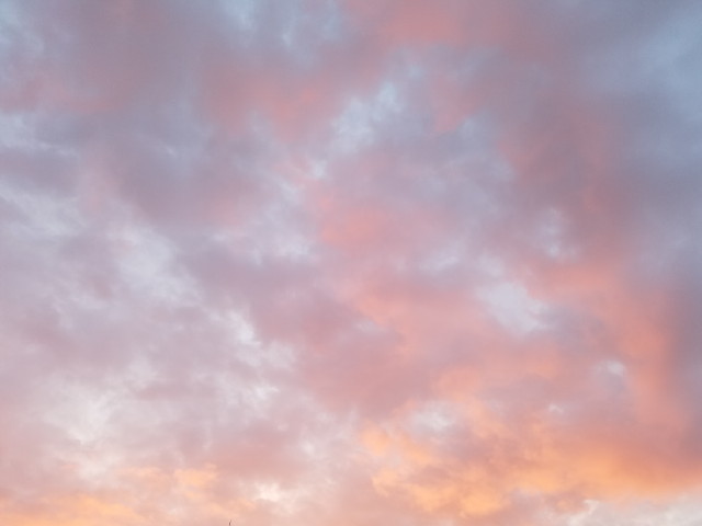 c0365734_22442490.jpg