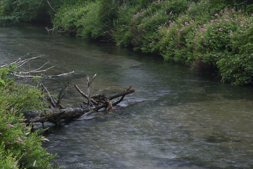 e0362037_20441669.jpg