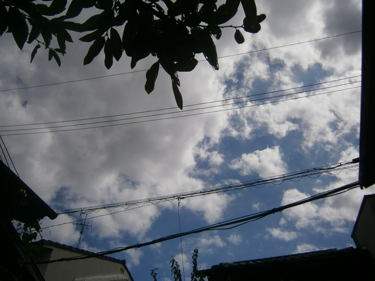 d0343540_22524864.jpg