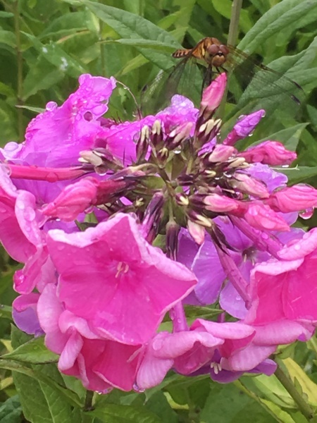 c0233141_14164236.jpg