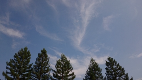 f0326946_09503918.jpg