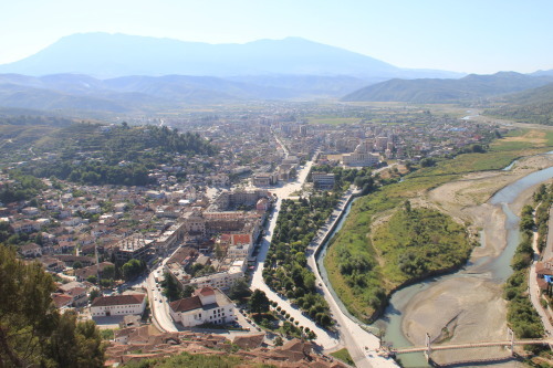 c0011649_09504453.jpg