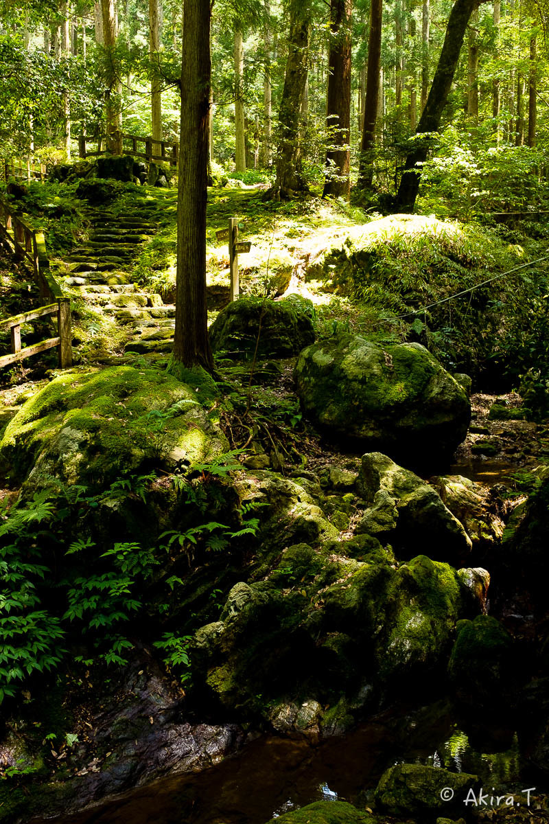 f0152550_18243191.jpg