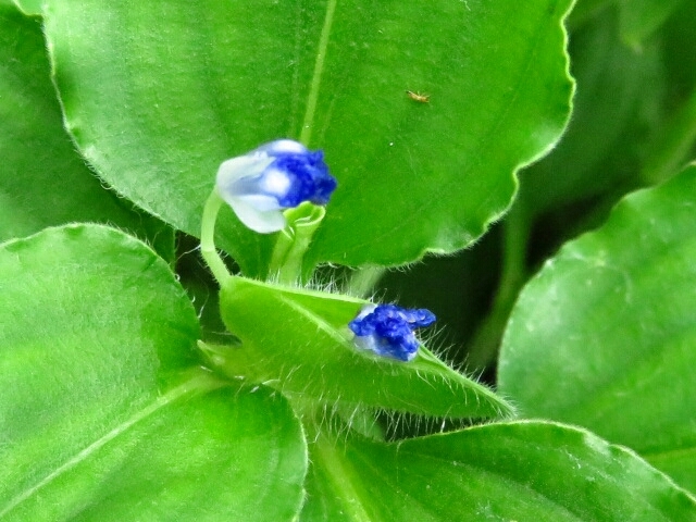 a0018655_14373436.jpg