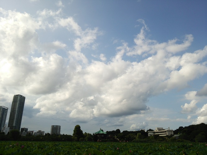 e0047657_23522657.jpg