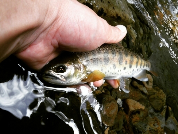c0249658_17002195.jpg