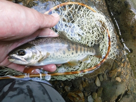 c0249658_17002504.jpg