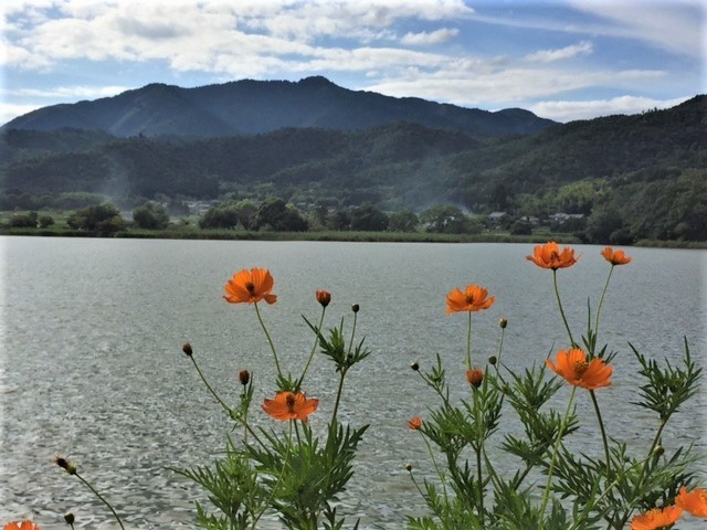b0044663_22324534.jpg