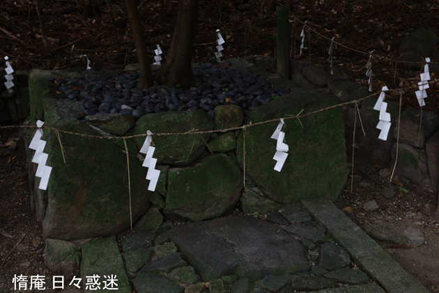e0346064_19571120.gif