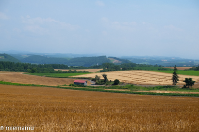 d0340565_20245415.jpg