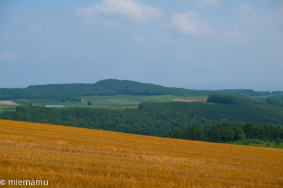 d0340565_20251298.jpg