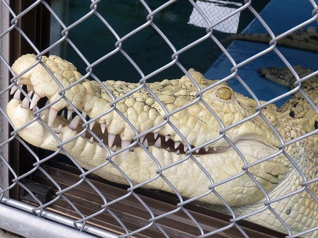 c0105569_03040580.jpg