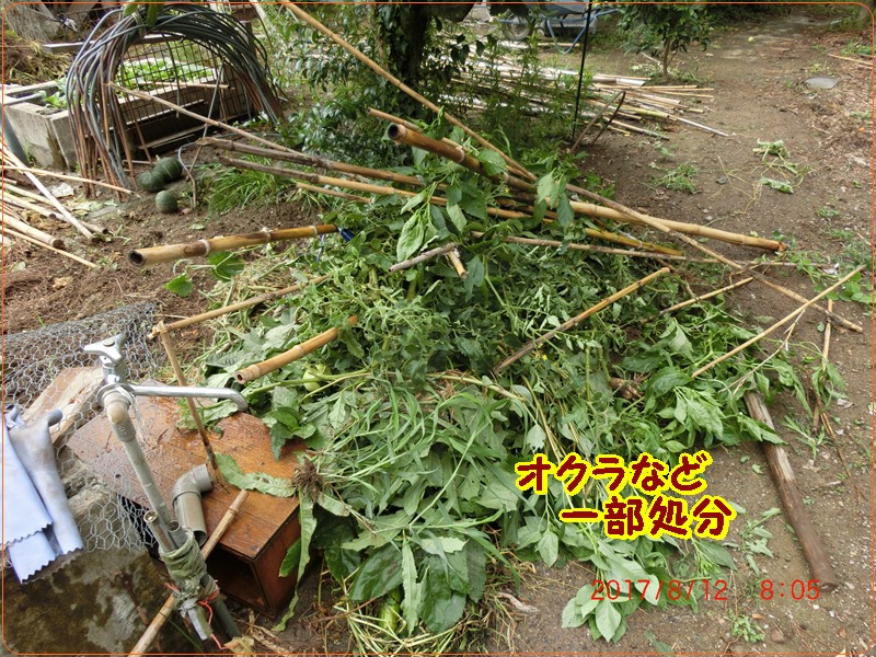 d0007071_13173759.jpg