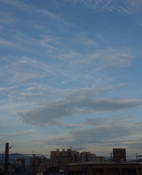 c0169176_7201918.jpg