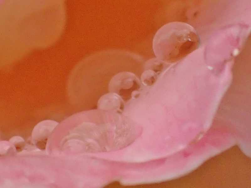 c0183777_9285154.jpg