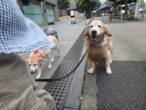 f0052277_02462215.jpg