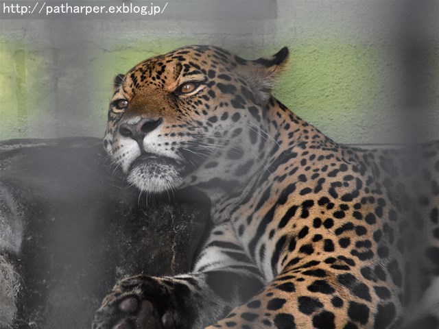 a0052986_2372857.jpg