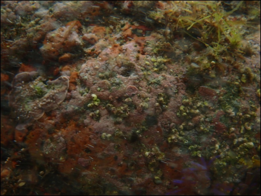 c0228386_14254546.jpg