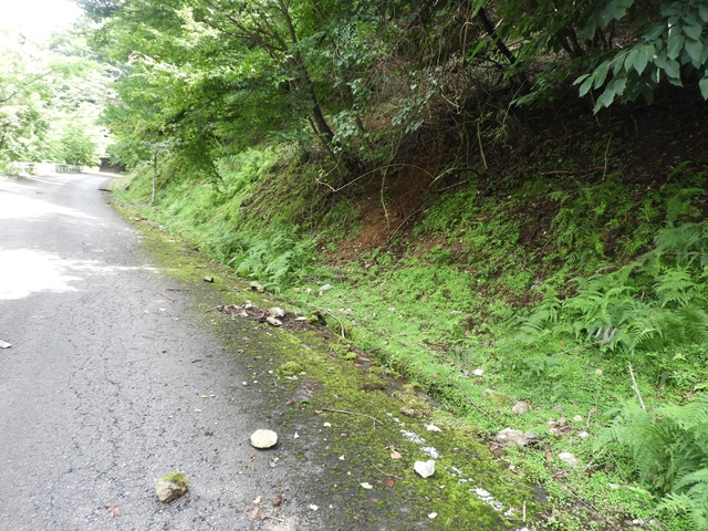 f0357487_14271554.jpg