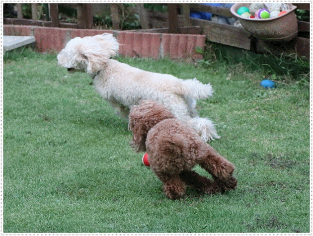 b0175688_00031836.gif