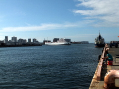 b0192588_923872.jpg