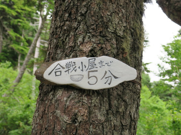 e0271890_13491207.jpg