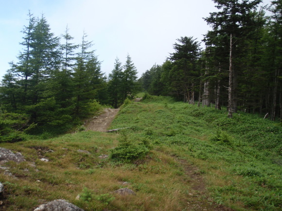 b0368597_21023823.jpg