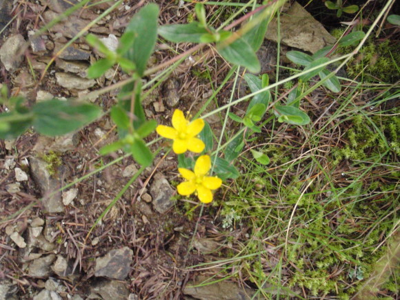 b0368597_21071339.jpg