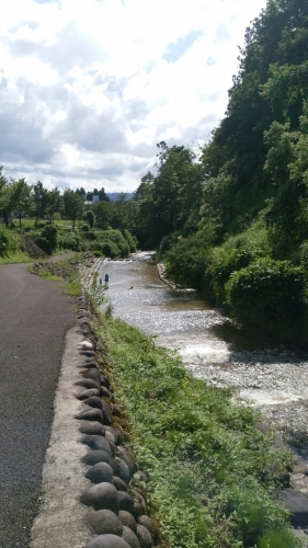d0174598_22300407.jpg